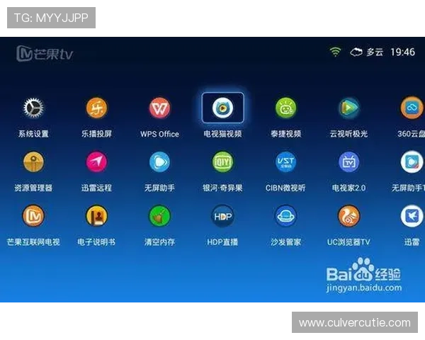 快速登录Z6APP的实用技巧与安全保护措施介绍