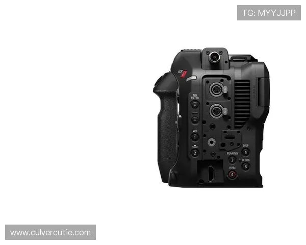 z6尊龙官方网站登录入口安全验证流程解析，保障您的账户安全无忧