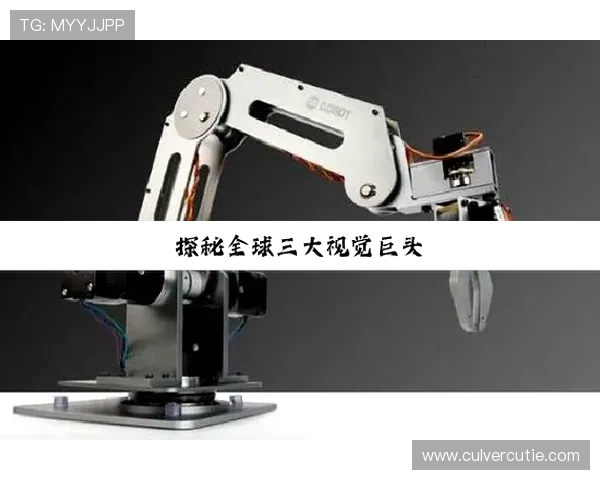 探讨尊龙凯时备用网址的安全性及常见问题解决方案