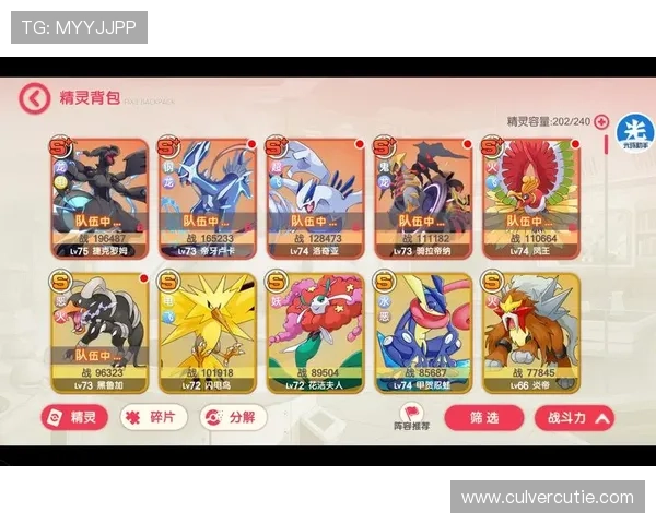 九游会进入常见问题解答及遇到问题时的解决方案详解