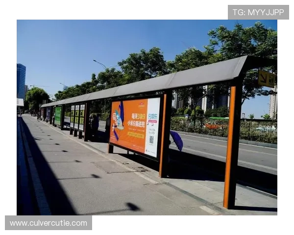 在d88尊龙z6官网注册账号的详细步骤与常见问题解决方案