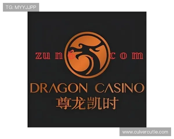 尊龙凯时人生就是博官网为玩家提供的优质客服服务与安全保障措施