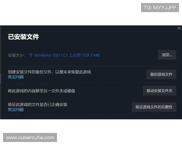 尊龙app下载下载安装后常见问题解决方案，确保游戏顺利运行